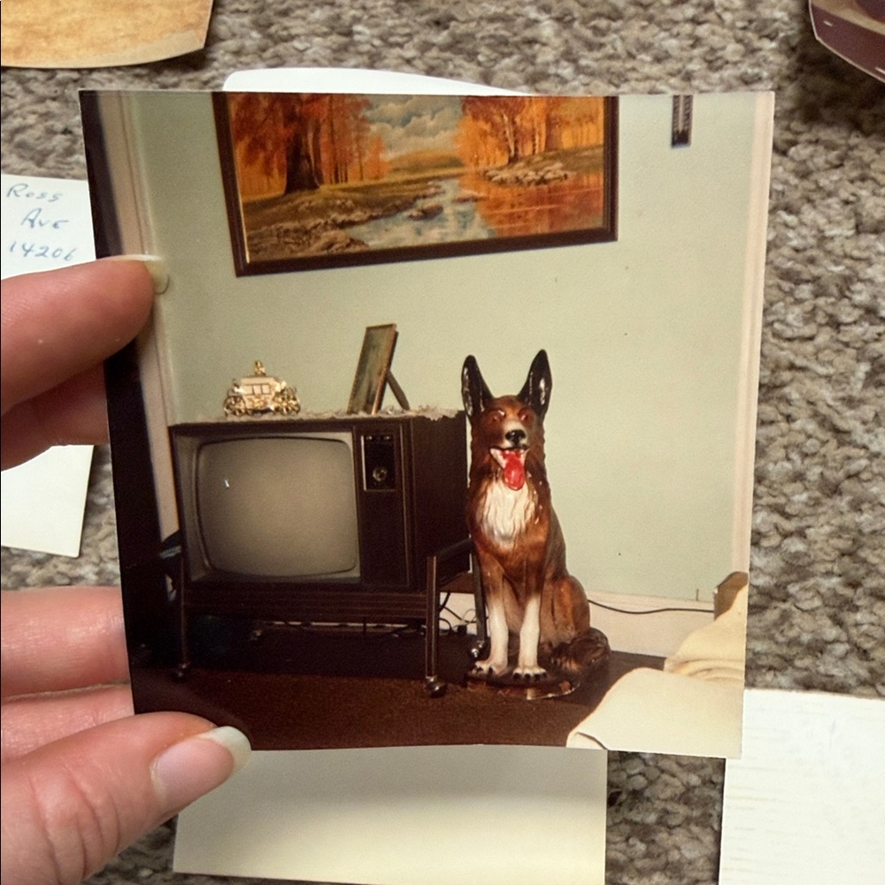 Vintage Photo Collection - Picture 8 of 11
